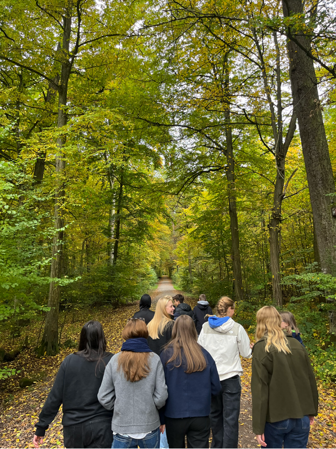 SMV Fahrt, – äh läuft durch den Wald!